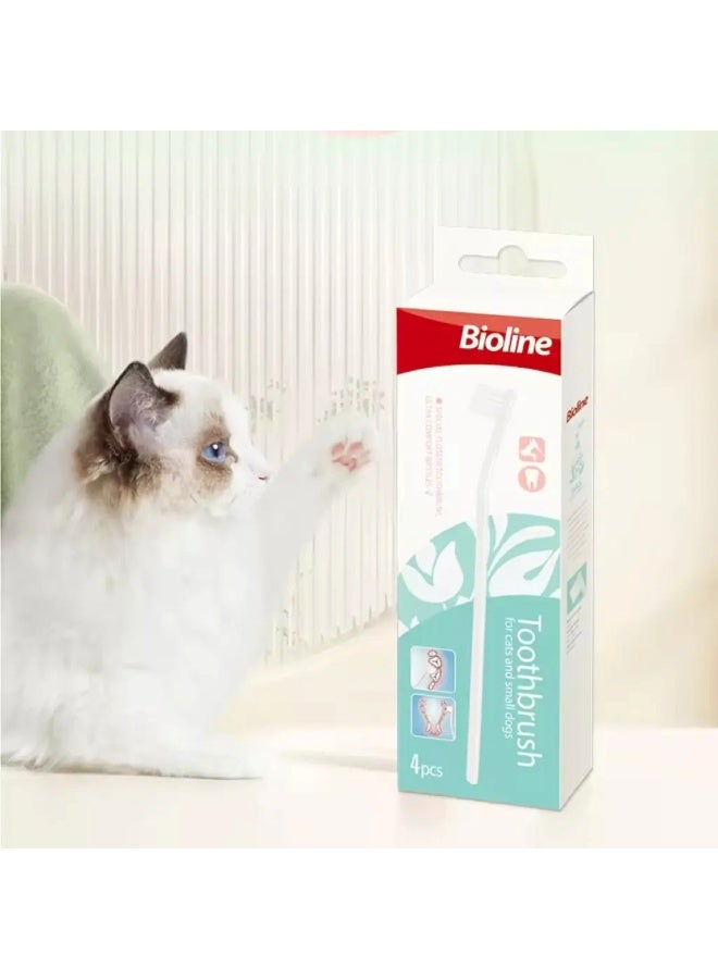 بايولاين مجموعة فرشاة أسنان للقطط والجرو، 4 قطع - Image 3